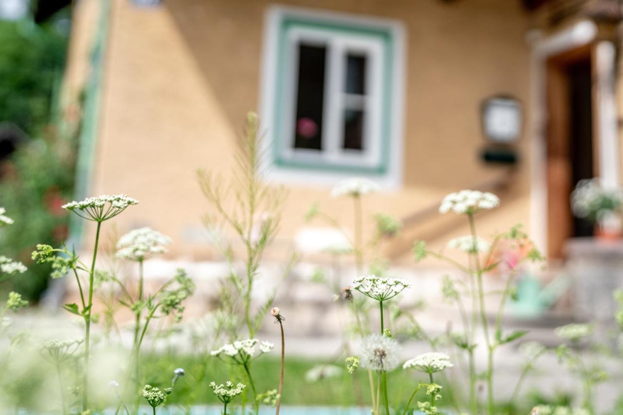 Family Hideaway Mit Baby- Und Kleinkindausstattung Apartment Hallstatt